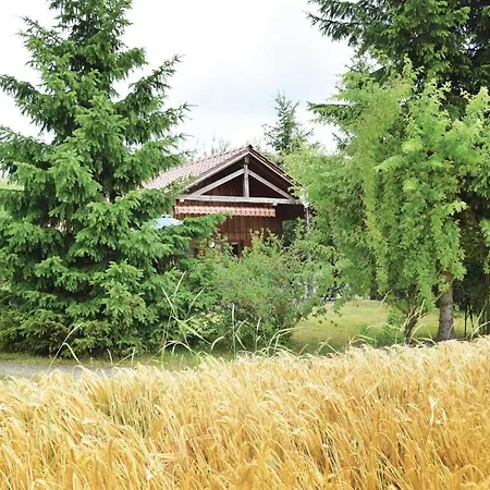 Pet Friendly In Waldmuenchen With Kitchen Holiday home